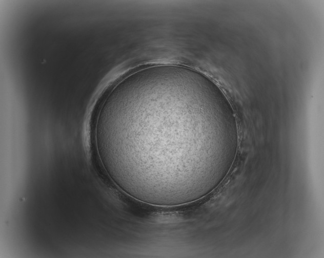 X0000102460296200808151413