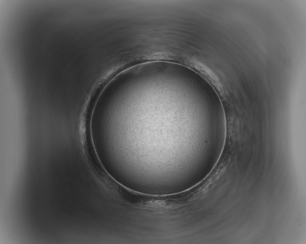 X0000102460298200808151413