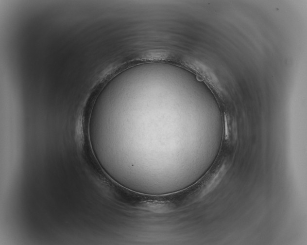 X0000102460300200808151413