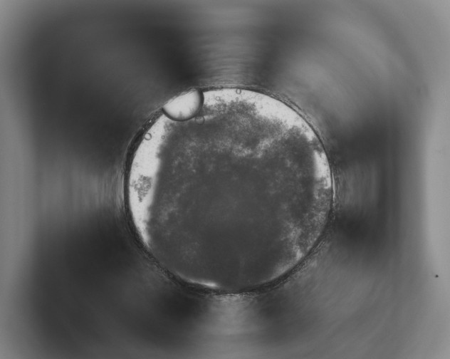 X0000102460301200808151413