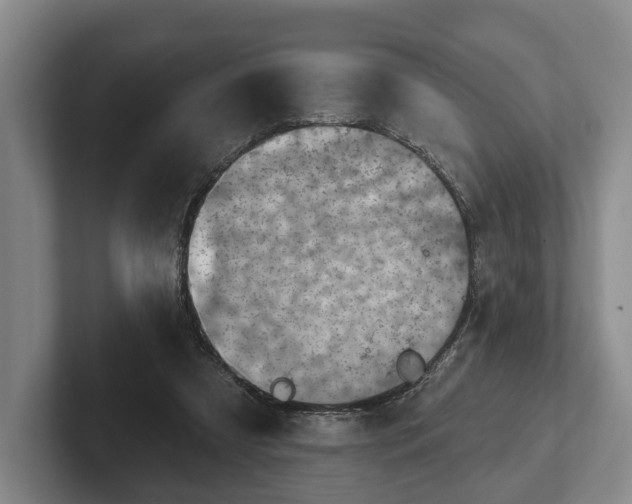 X0000102460305200808151413