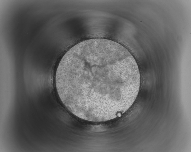 X0000102460309200808151413