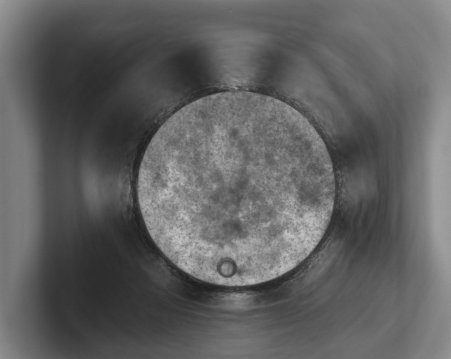 X0000102460313200808151413