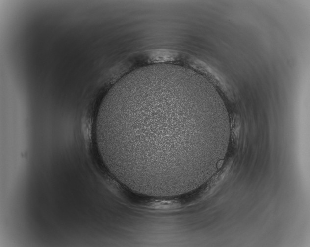 X0000102460315200808151413