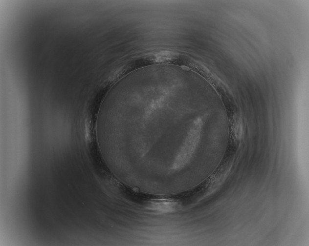 X0000102460316200808151413