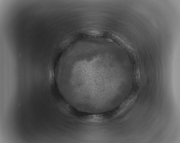 X0000102460320200808151413