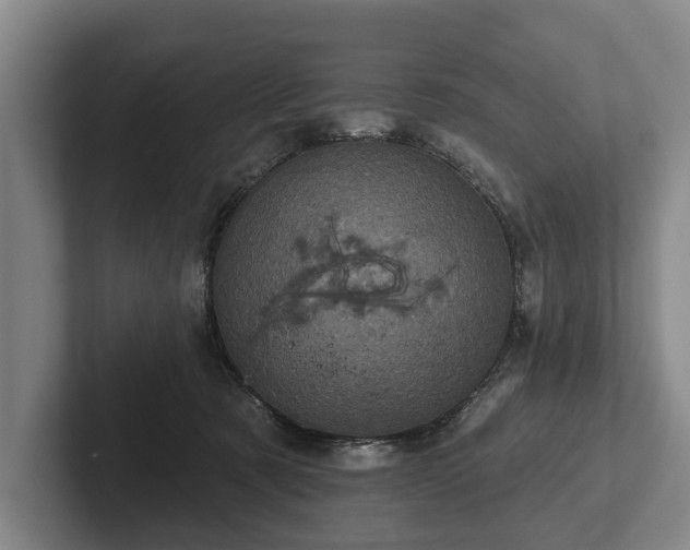 X0000102460321200808151413