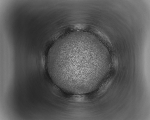 X0000102460328200808151413