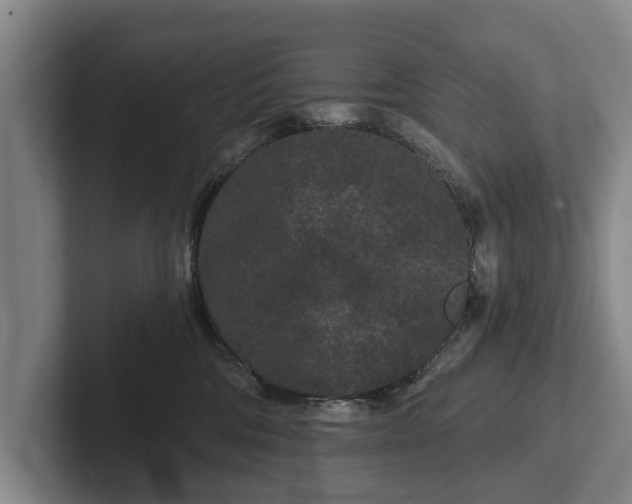 X0000102460330200808151412