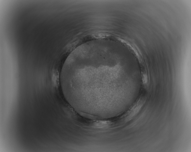 X0000102460332200808151412