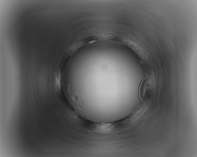 X0000102460334200808151412