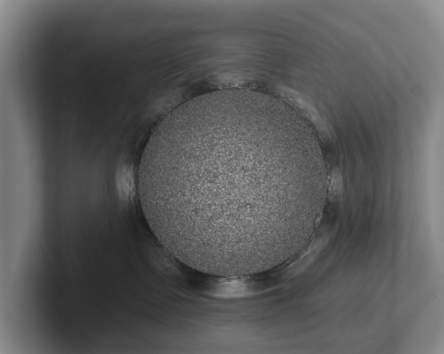 X0000102460335200808151412