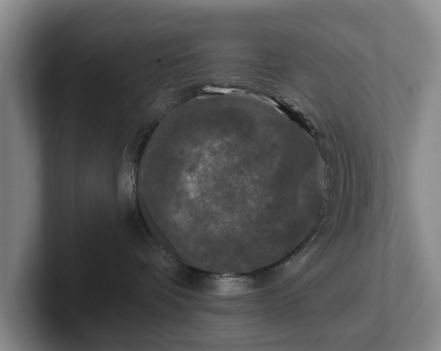 X0000102460336200808151412