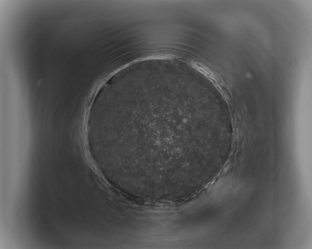 X0000102460337200808151412