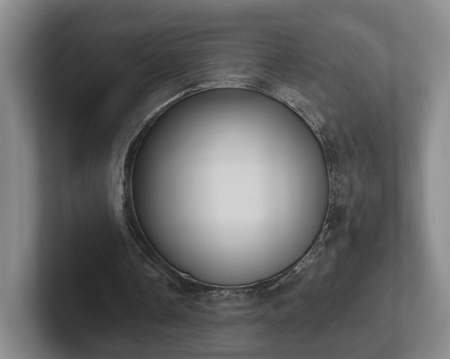 X0000102460338200808151412