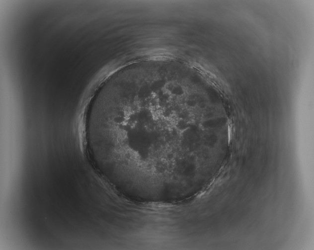 X0000102460339200808151412