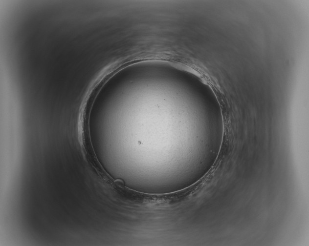 X0000102460340200808151412