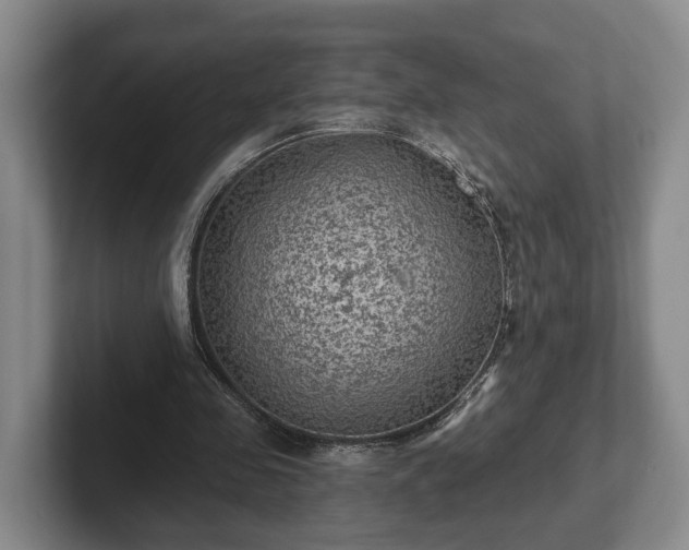 X0000102460341200808151412