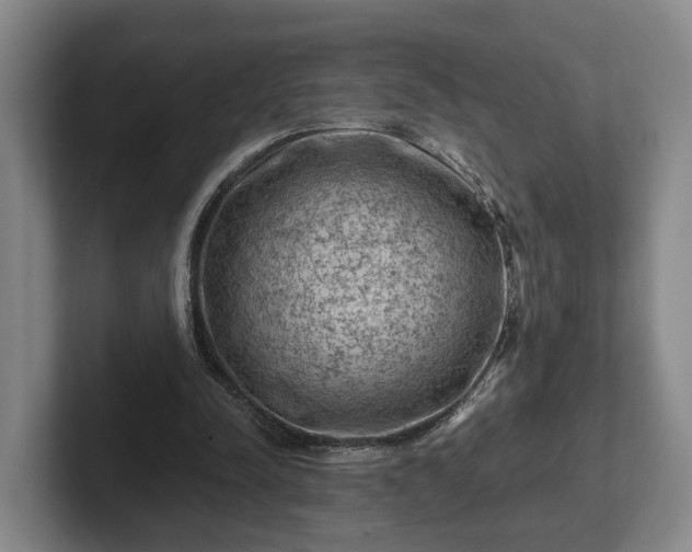 X0000102460342200808151412