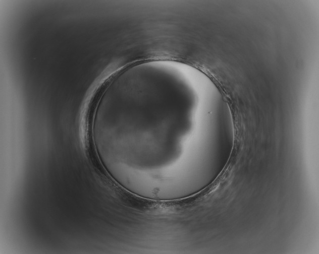 X0000102460343200808151412