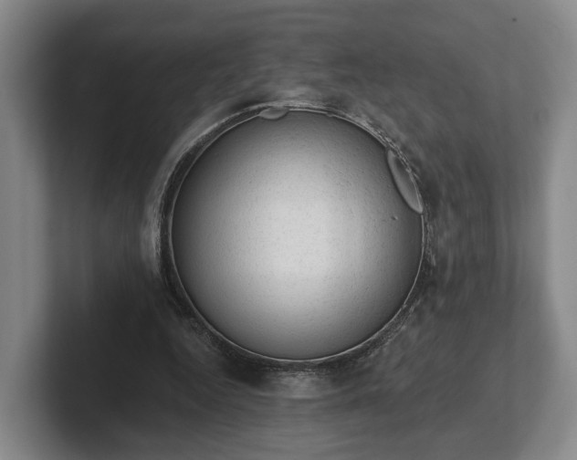 X0000102460344200808151412