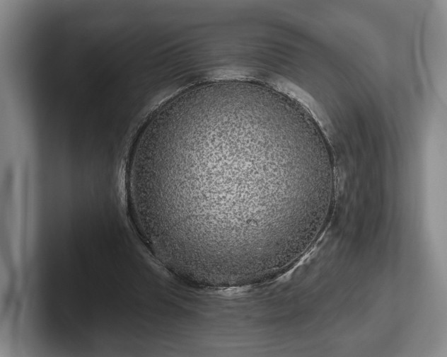 X0000102460345200808151412