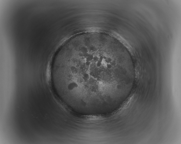 X0000102460347200808151412