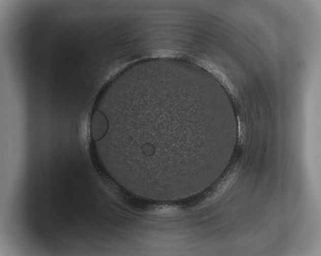 X0000102460348200808151412