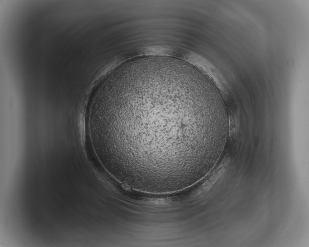 X0000102460349200808151412