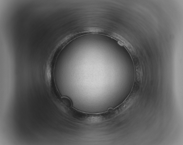 X0000102460350200808151412