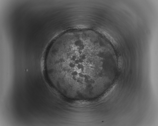 X0000102460351200808151412