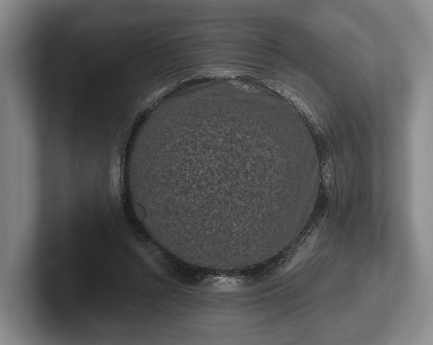 X0000102460352200808151412