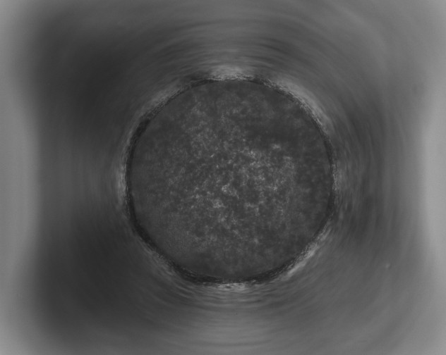 X0000102460353200808151412