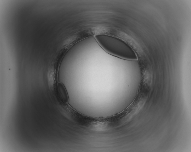 X0000102460356200808151412