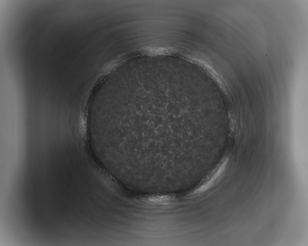 X0000102460357200808151412