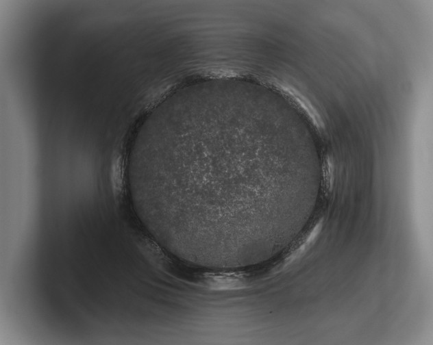 X0000102460359200808151412