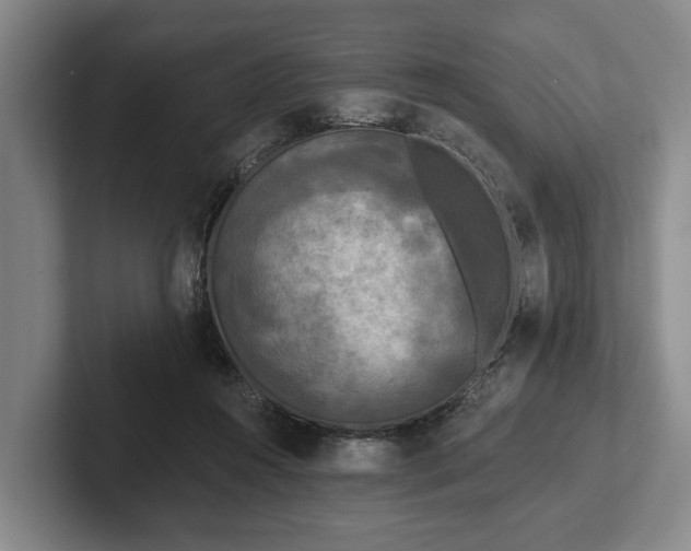 X0000102460360200808151412