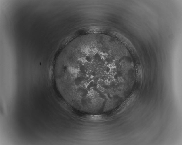 X0000102460361200808151412