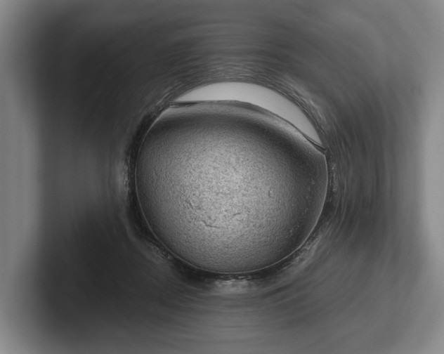 X0000102460362200808151412