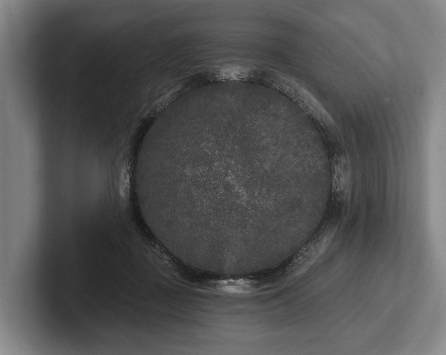 X0000102460363200808151412