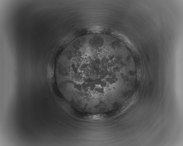 X0000102460365200808151412