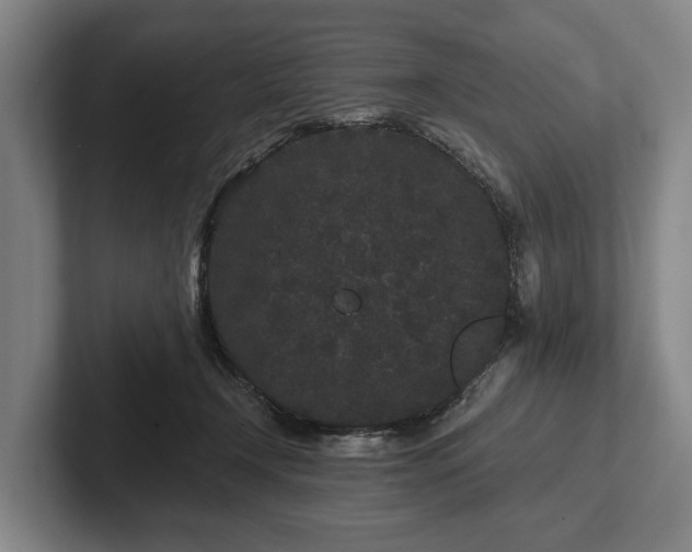 X0000102460366200808151412