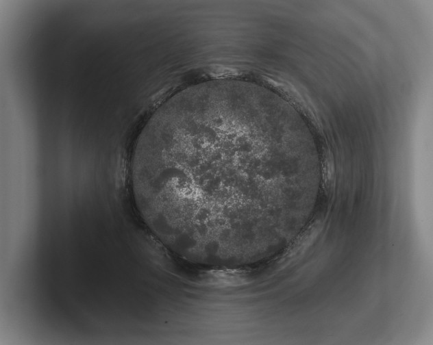 X0000102460367200808151412