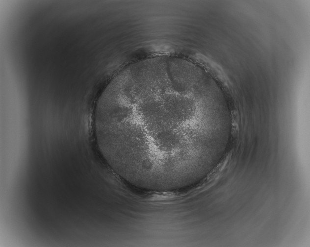 X0000102460369200808151412