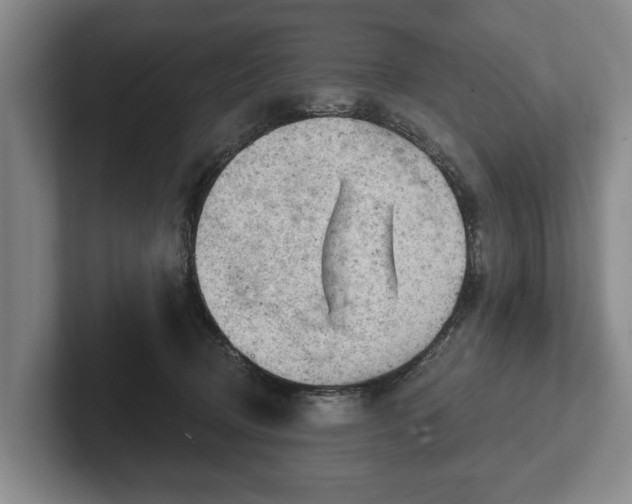 X0000102460370200808151412