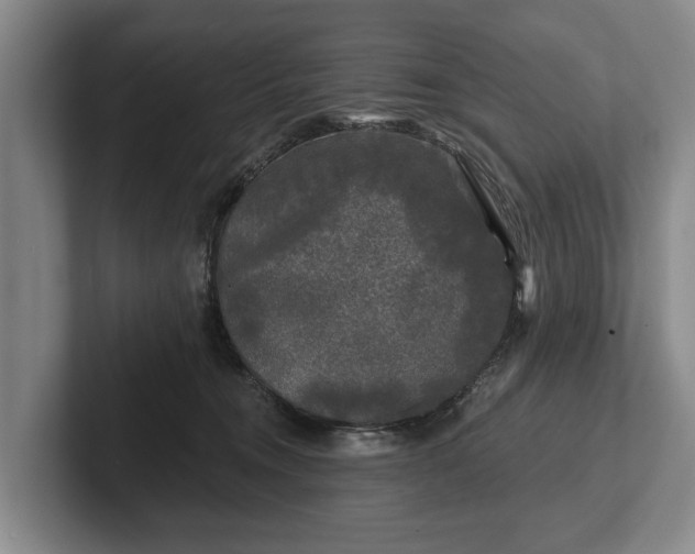 X0000102460372200808151412