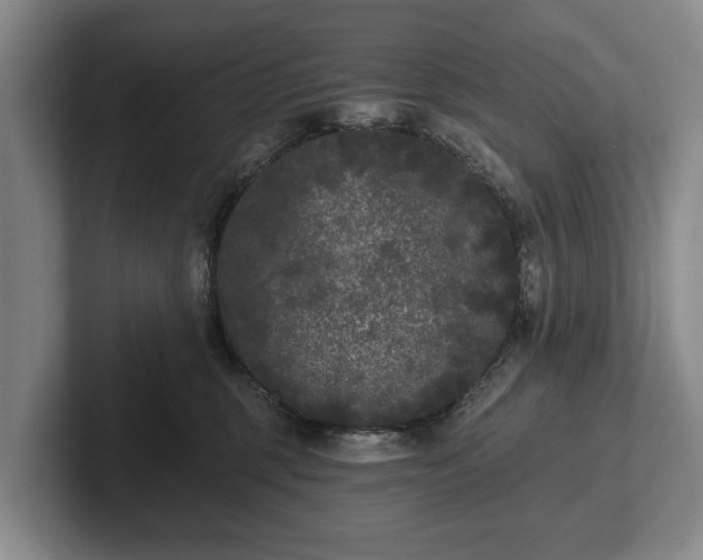 X0000102460375200808151412