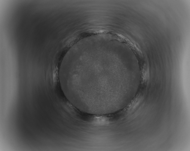 X0000102460376200808151412