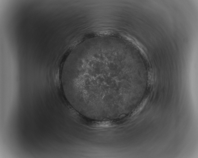 X0000102460377200808151412