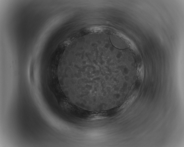 X0000102460381200808151412